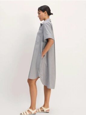 Everlane Daytripper Dress in Linen